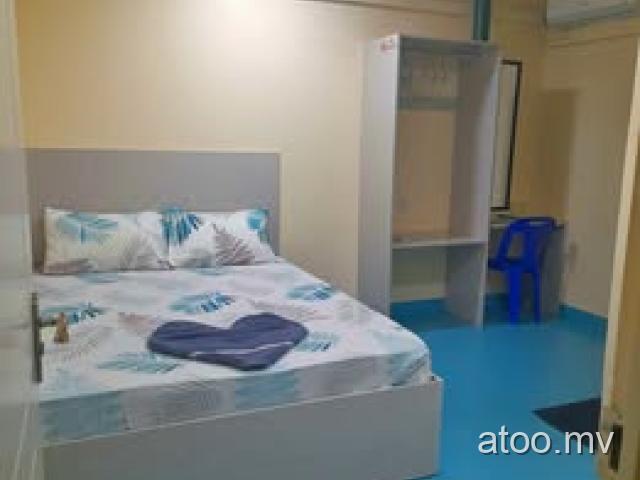 ROOM FOR DAILY RENT