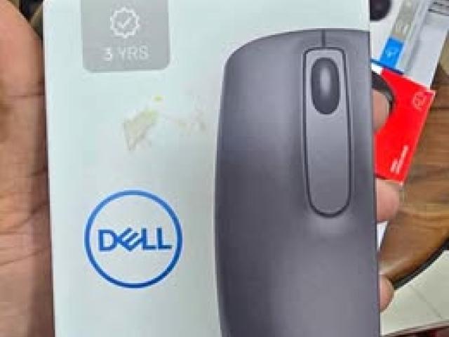 Different Type of Mouse