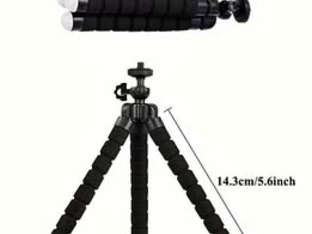 Small Tripod Octopus : /7779554