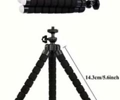 Small Tripod Octopus : /7779554