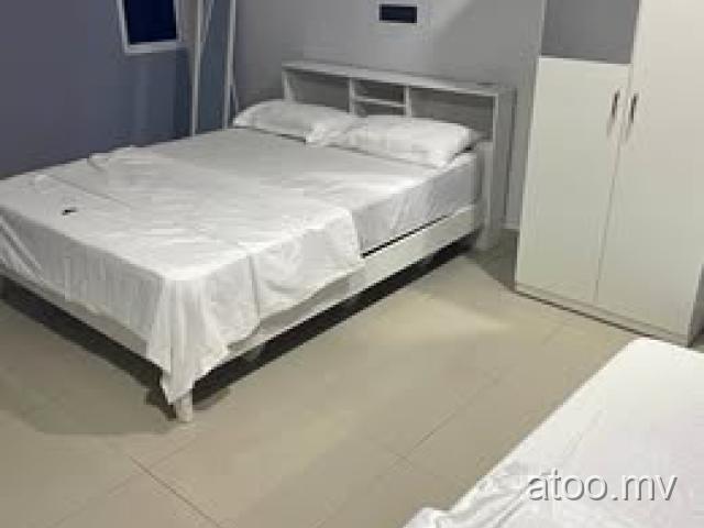 daily room for rent , near
