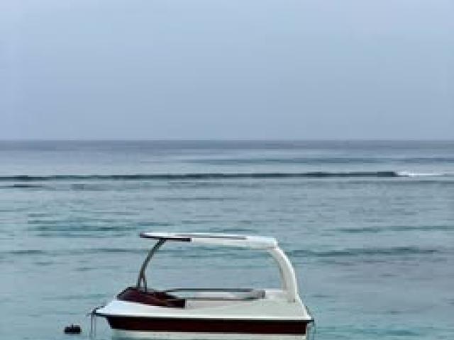 Paddle boat with shade