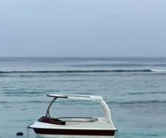 Paddle boat with shade