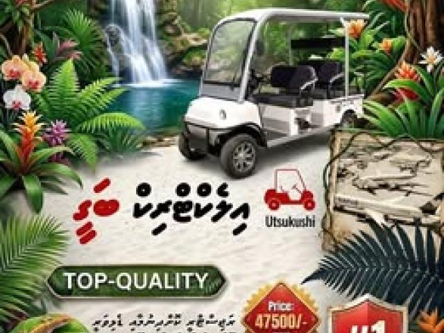 6 SEAT ELECTRIC ISLAND BUGGY📲 /