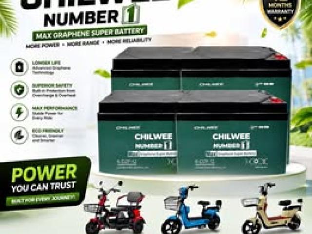RASHU PICKUP BATTERY SET-(12V12AH)-GREEN-4PCS