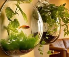 Acrylic Wall-Mounted Planter, High Transparency