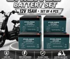 BATTERY BICYCLE 4 BATTERY SET -GREEN-