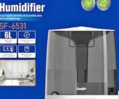 Humidifier 6L 2in1 Large Capacity
