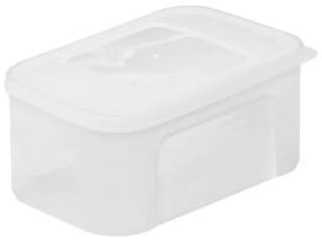 Food Container (2.7L)