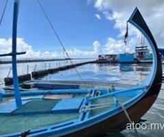 Dhoni for sale 25’ with 2T engine