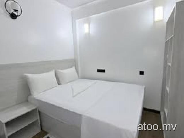 Daily room for rent