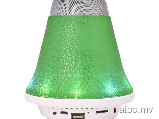 Bluetooth Speaker WS-1628