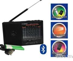 RISING ( RS-534BT) Bluetooth Radio