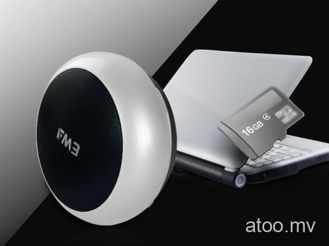 EWA A110 Bluetooth Speaker