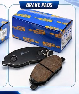 Pads and Shoes